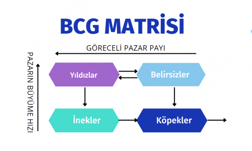 BCG Matrisi